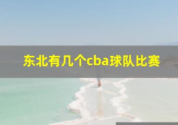 东北有几个cba球队比赛