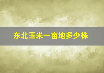 东北玉米一亩地多少株