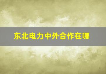 东北电力中外合作在哪