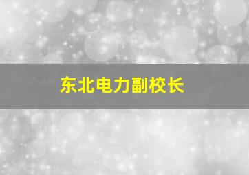 东北电力副校长