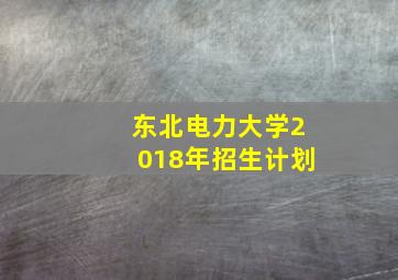 东北电力大学2018年招生计划