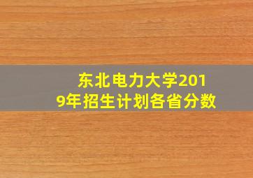 东北电力大学2019年招生计划各省分数