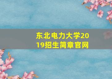 东北电力大学2019招生简章官网