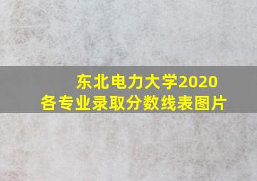 东北电力大学2020各专业录取分数线表图片