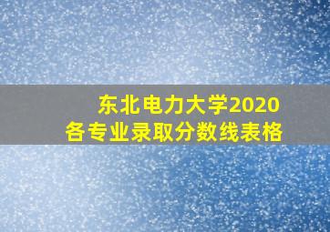 东北电力大学2020各专业录取分数线表格