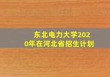 东北电力大学2020年在河北省招生计划