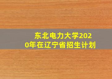 东北电力大学2020年在辽宁省招生计划