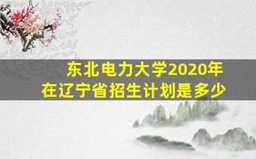 东北电力大学2020年在辽宁省招生计划是多少