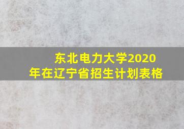 东北电力大学2020年在辽宁省招生计划表格