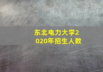 东北电力大学2020年招生人数