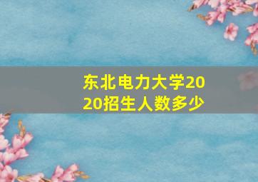 东北电力大学2020招生人数多少