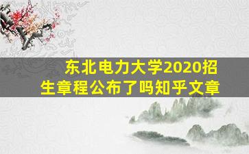 东北电力大学2020招生章程公布了吗知乎文章