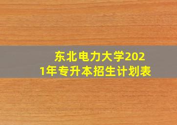 东北电力大学2021年专升本招生计划表