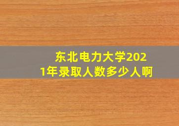 东北电力大学2021年录取人数多少人啊