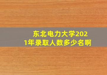 东北电力大学2021年录取人数多少名啊