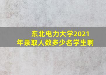 东北电力大学2021年录取人数多少名学生啊