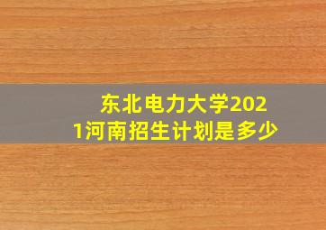 东北电力大学2021河南招生计划是多少