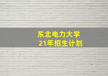 东北电力大学21年招生计划