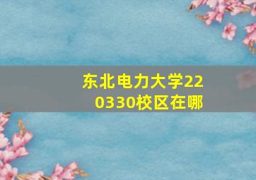 东北电力大学220330校区在哪