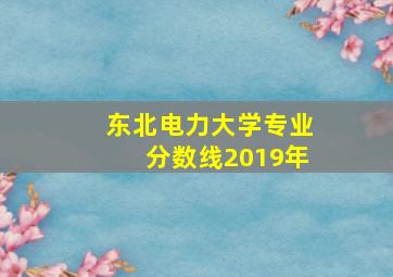 东北电力大学专业分数线2019年