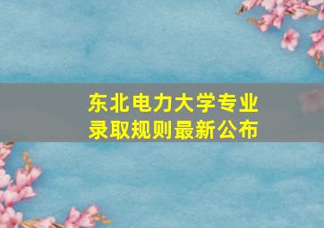 东北电力大学专业录取规则最新公布