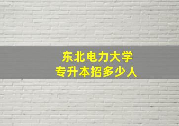 东北电力大学专升本招多少人