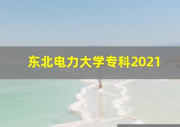 东北电力大学专科2021