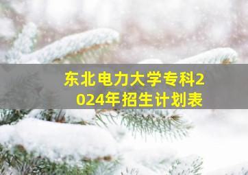 东北电力大学专科2024年招生计划表