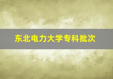 东北电力大学专科批次