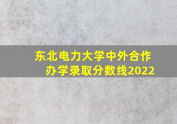 东北电力大学中外合作办学录取分数线2022