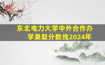 东北电力大学中外合作办学录取分数线2024年