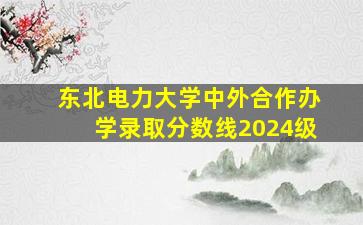 东北电力大学中外合作办学录取分数线2024级