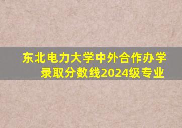 东北电力大学中外合作办学录取分数线2024级专业