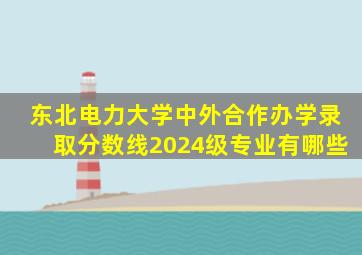 东北电力大学中外合作办学录取分数线2024级专业有哪些