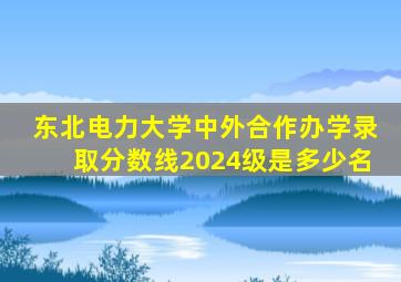 东北电力大学中外合作办学录取分数线2024级是多少名