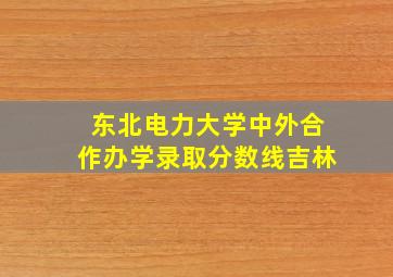 东北电力大学中外合作办学录取分数线吉林