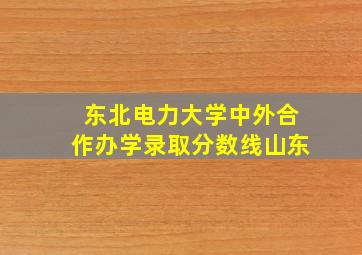 东北电力大学中外合作办学录取分数线山东