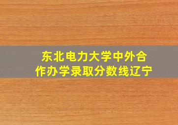 东北电力大学中外合作办学录取分数线辽宁