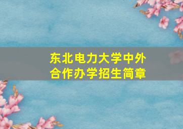 东北电力大学中外合作办学招生简章