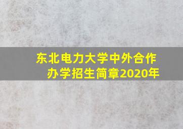 东北电力大学中外合作办学招生简章2020年