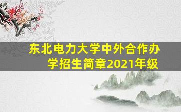 东北电力大学中外合作办学招生简章2021年级