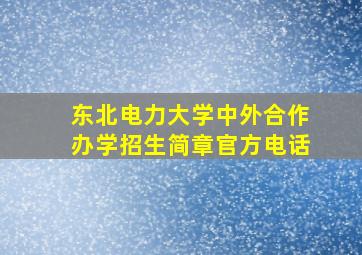 东北电力大学中外合作办学招生简章官方电话