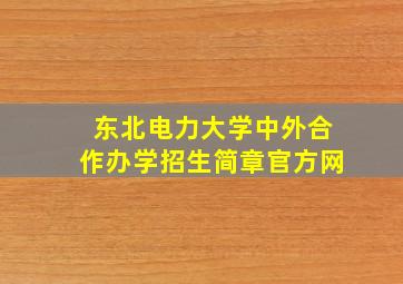 东北电力大学中外合作办学招生简章官方网