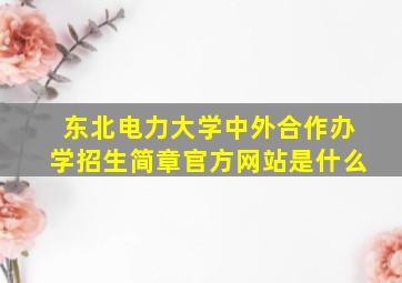 东北电力大学中外合作办学招生简章官方网站是什么