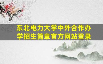 东北电力大学中外合作办学招生简章官方网站登录