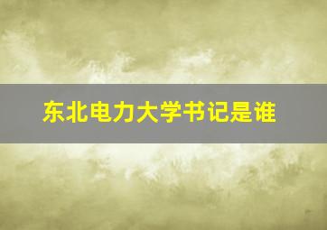 东北电力大学书记是谁