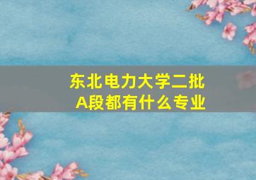 东北电力大学二批A段都有什么专业