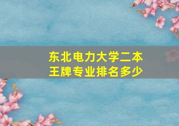 东北电力大学二本王牌专业排名多少