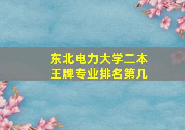 东北电力大学二本王牌专业排名第几