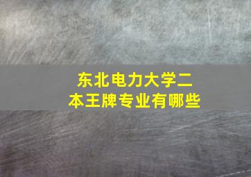 东北电力大学二本王牌专业有哪些